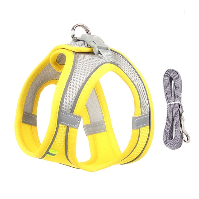 Dog Harness Leash Set for Small Dogs